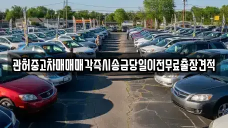 서울 용산구 서빙고동 중고차 전문 관허중고차매매매각즉시송금당일이전무료출장견적