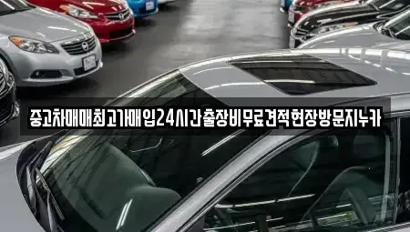 서울 용산구 서빙고동 중고차 전문 중고차매매최고가매입24시간출장비무료견적현장방문지누카