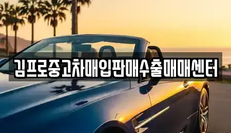 서울 용산구 서빙고동 중고차매입 전문 김프로중고차매입판매수출매매센터