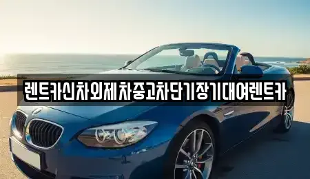 서울 종로구 도렴동 단기렌트카 전문 렌트카신차외제차중고차단기장기대여렌트카