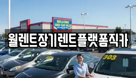 서울 종로구 도렴동 렌트카 전문 월렌트장기렌트플랫폼직카