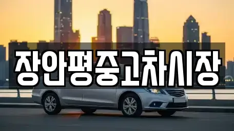 서울 종로구 도렴동 중고차 전문 장안평중고차시장