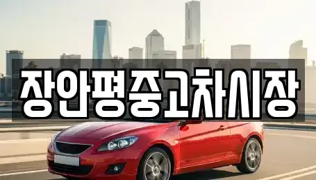 서울 중구 예장동 중고차매매 전문 장안평중고차시장