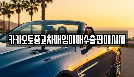 서울 중구 예장동 중고차매입 전문 카카오토중고차매입매매수출판매시세