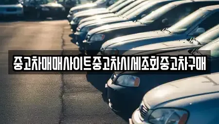 서울특별시 종로구 익선동 중고차매매 전문 중고차매매사이트중고차시세조회중고차구매