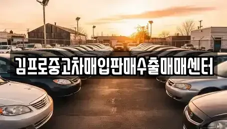 서울특별시 종로구 익선동 중고차매입 전문 김프로중고차매입판매수출매매센터