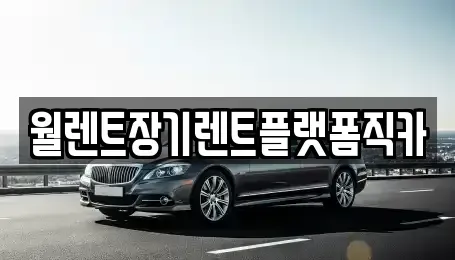 서울특별시 중구 남대문로1가 렌트카 전문 월렌트장기렌트플랫폼직카