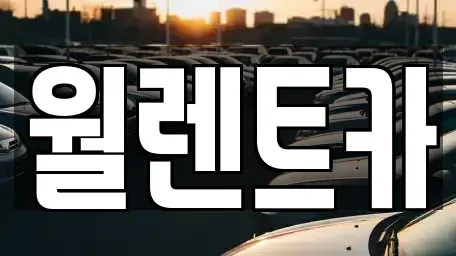 서울특별시 중구 남대문로1가 렌트카 전문 월렌트카