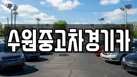 서울특별시 중구 남대문로1가 중고차매매 전문 수원중고차경기카
