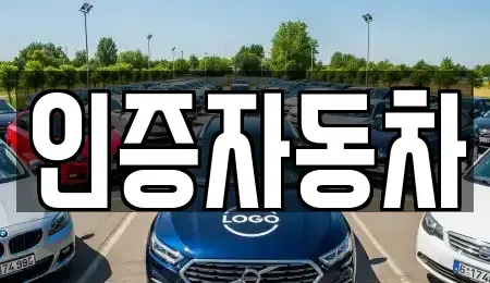 서울특별시 중구 남대문로1가 중고차매매 전문 인증자동차