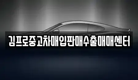 서울특별시 중구 남대문로1가 중고차매입 전문 김프로중고차매입판매수출매매센터