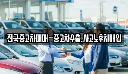 서울특별시 중구 남대문로1가 중고차매입 전문 전국중고차매매-중고차수출,사고노후차매입