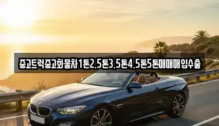 서울특별시 중구 남대문로1가 중고차매입 전문 중고트럭중고화물차1톤2.5톤3.5톤4.5톤5톤매매매입수출