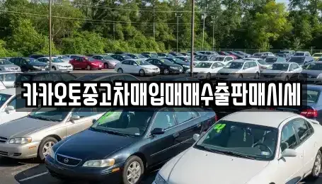 서울특별시 중구 남대문로1가 중고차매입 전문 카카오토중고차매입매매수출판매시세