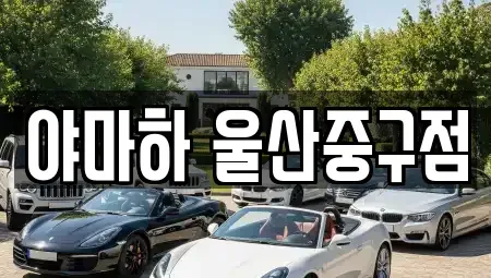울산광역시 중구 반구동 렌트카 전문 야마하 울산중구점