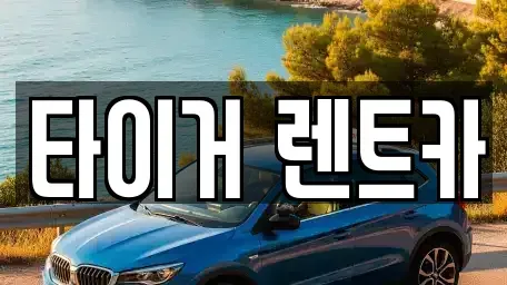 울산광역시 중구 반구동 렌트카 전문 타이거 렌트카