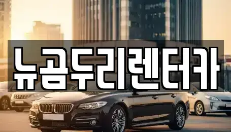 울산광역시 중구 반구동 장기렌트카 전문 뉴곰두리렌터카
