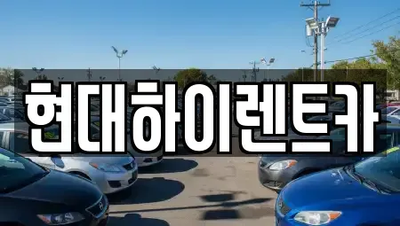 울산광역시 중구 반구동 장기렌트카 전문 현대하이렌트카