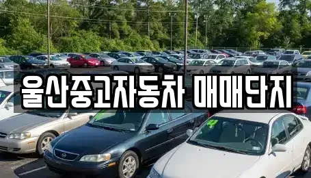 울산광역시 중구 반구동 중고차매매 전문 울산중고자동차 매매단지