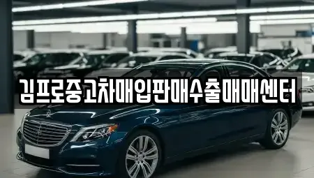 울산광역시 중구 반구동 중고차매입 전문 김프로중고차매입판매수출매매센터