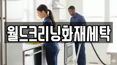 월드크리닝화재세탁