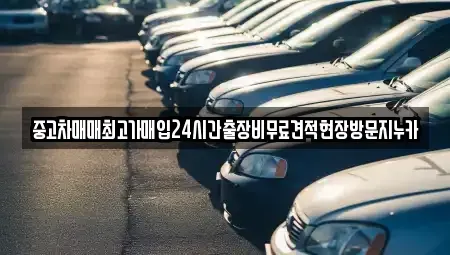 인천 중구 송학동2가 단기렌트카,중고차매입,중고차매매,중고차,렌트카,장기렌트카
