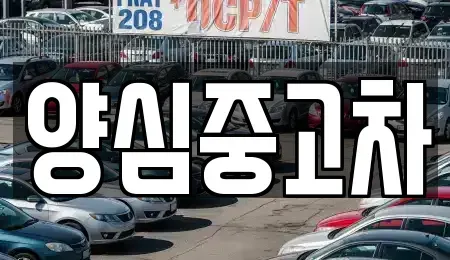 인천광역시 계양구 방축동 중고차 전문 양심중고차