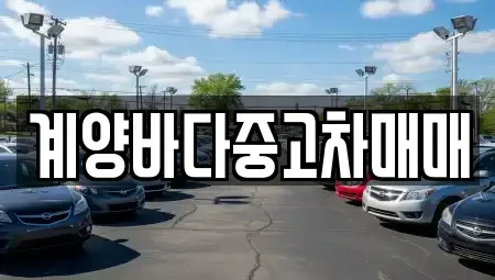 인천광역시 계양구 방축동 중고차매매 전문 계양바다중고차매매