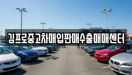 인천광역시 계양구 방축동 중고차매입 전문 김프로중고차매입판매수출매매센터