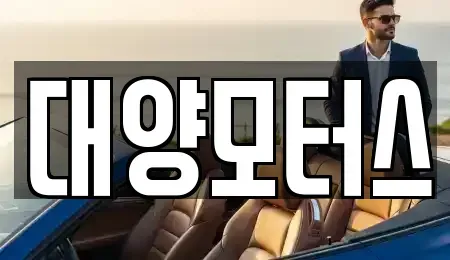 전라남도 고흥군 두원면 중고차매매 전문 대양모터스