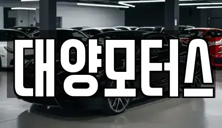 전라남도 나주시 보산동 중고차매매 전문 대양모터스