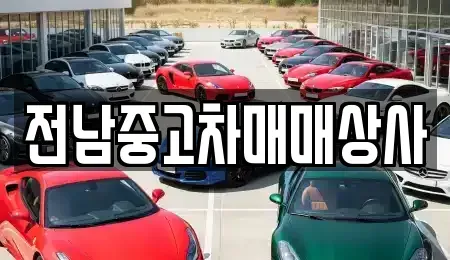 전라남도 나주시 보산동 중고차매매 전문 전남중고차매매상사