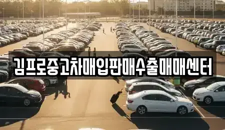 전라남도 나주시 보산동 중고차매입 전문 김프로중고차매입판매수출매매센터