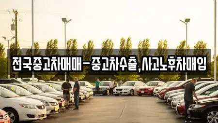 전라남도 나주시 보산동 중고차매입 전문 전국중고차매매-중고차수출,사고노후차매입