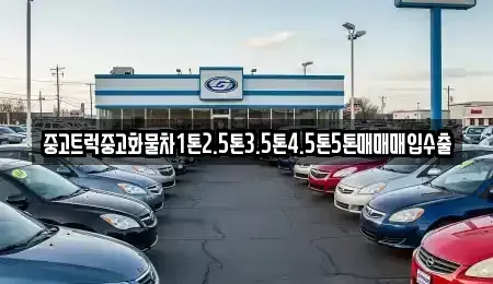전라남도 나주시 보산동 단기렌트카,중고차매입,중고차매매,중고차,렌트카,장기렌트카
