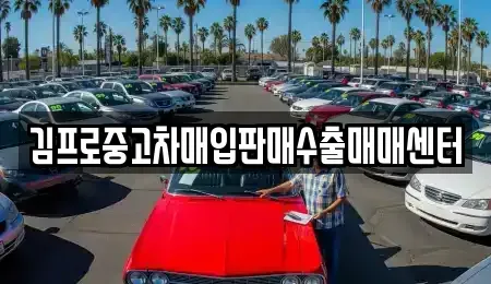 전북특별자치도 익산시 신용동 중고차 전문 김프로중고차매입판매수출매매센터