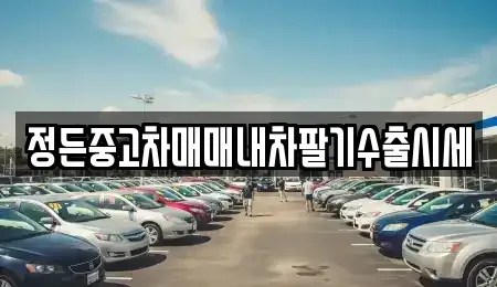 충북 괴산군 소수면 중고차 전문 정든중고차매매내차팔기수출시세