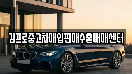 충북 괴산군 소수면 중고차매입 전문 김프로중고차매입판매수출매매센터